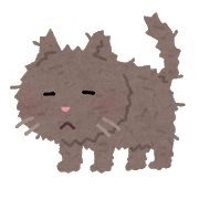 こちらを見る猫の表情