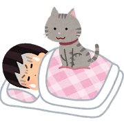 外で暮らす猫たちの姿