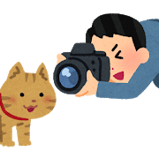 名護市営球場周辺で出会った猫たち