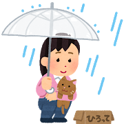 地域猫について考えるきっかけになった猫たち