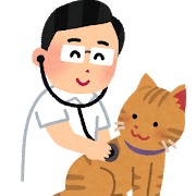 地域で見守られているように見える猫