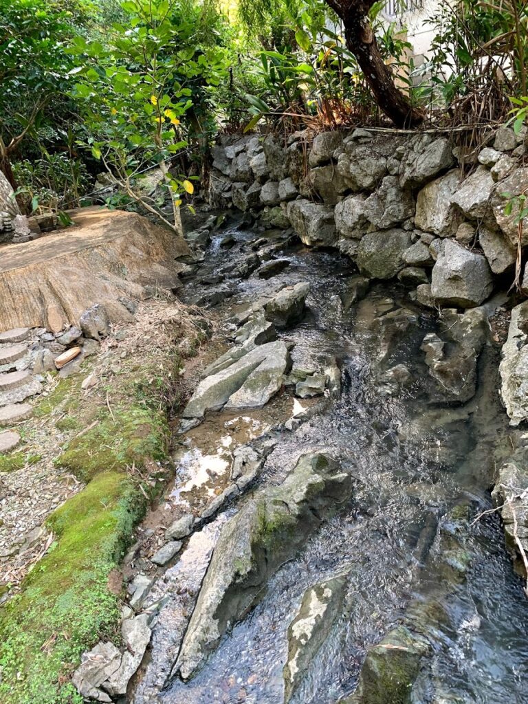喫茶せせらぎの横を流れる小川