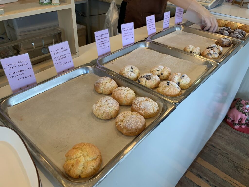 ショーケースに並ぶ焼き立てのスコーン