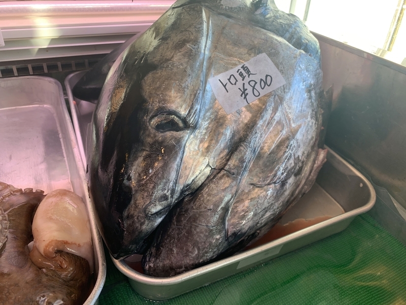 迫力満点！マグロのトロ頭