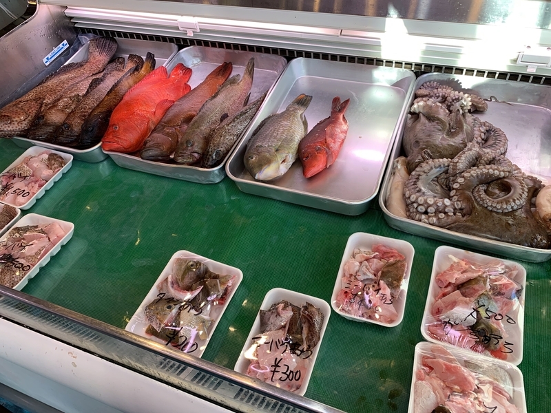 沖縄の鮮やかな魚たちが並ぶケース