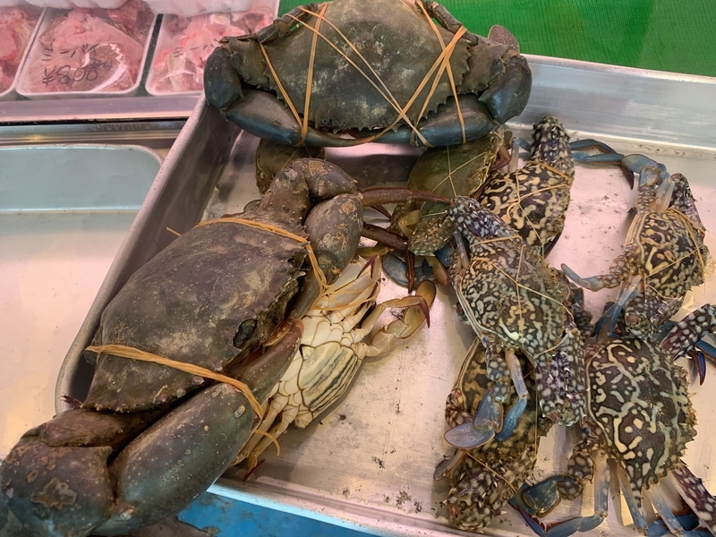 地元の海で獲れた新鮮な魚介類