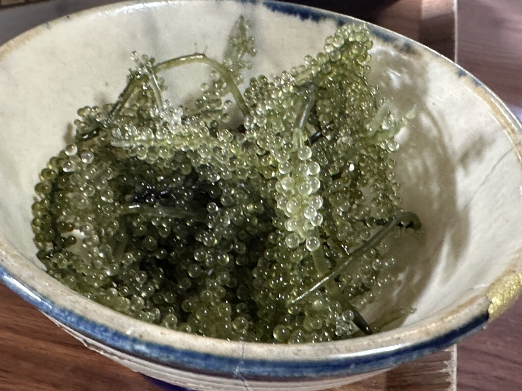 海ぶどう