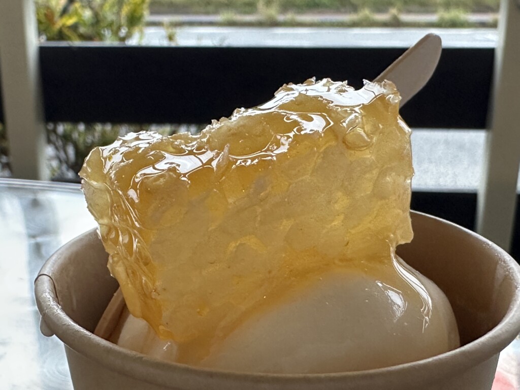 バニラアイスにのった大きなコムハニー（ハチの巣）のアップ