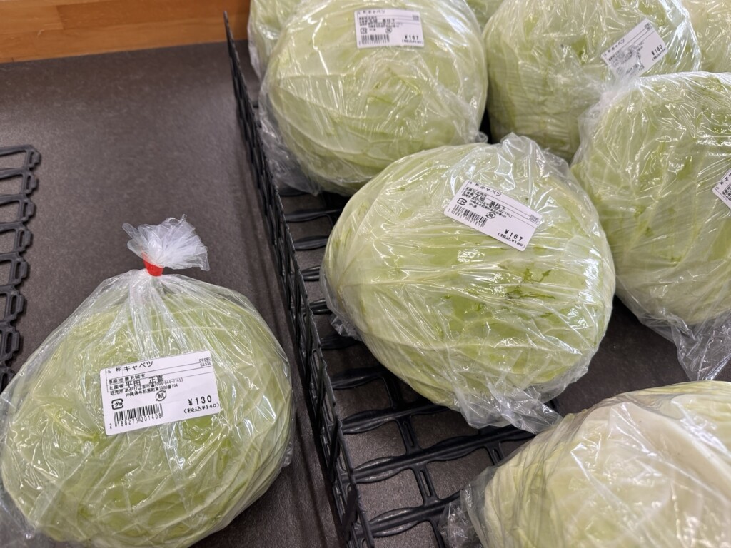 丸々と太った県産キャベツ
