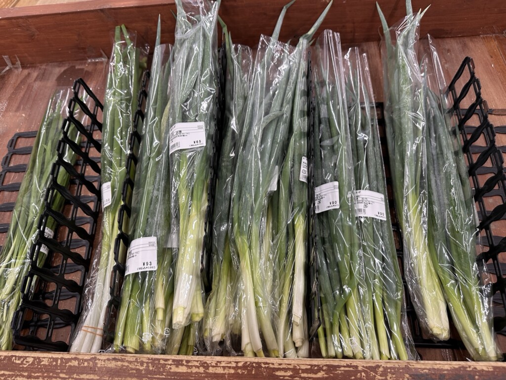 わけぎ(ねぎ)の束