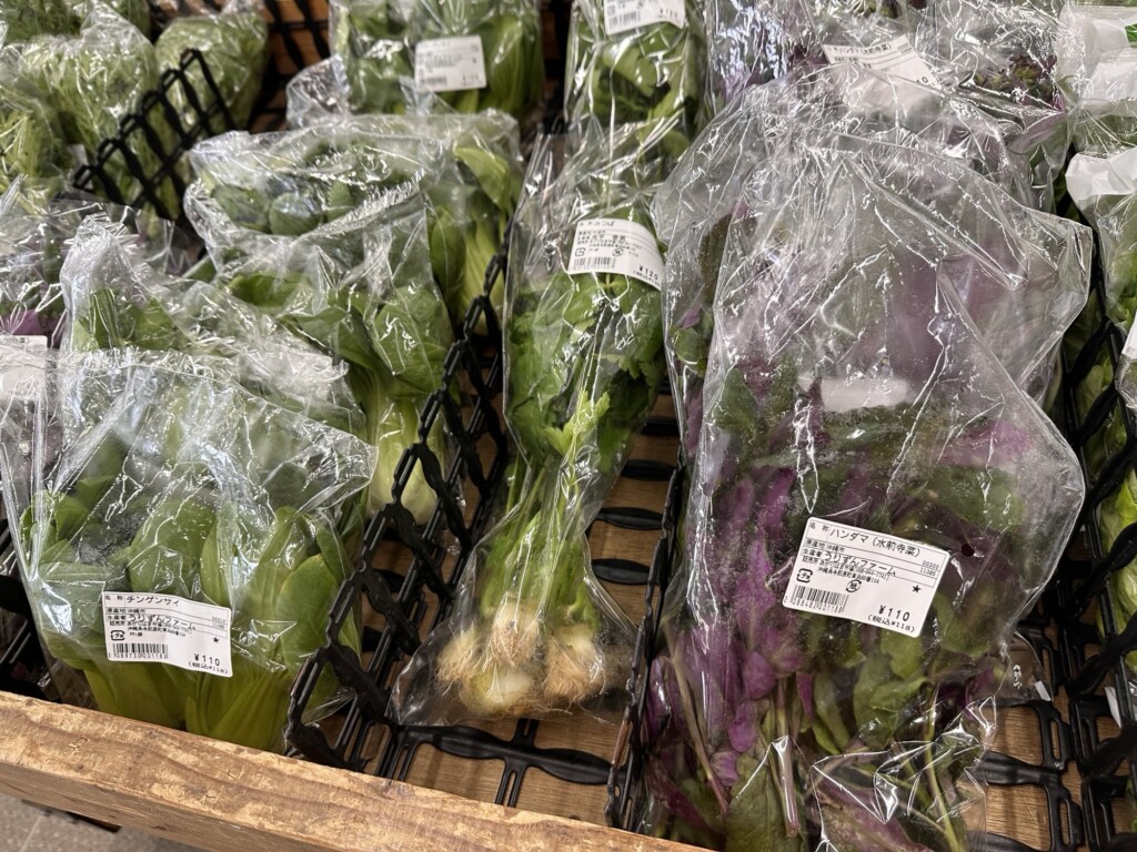 ハンダマやチンゲンサイなどの葉野菜