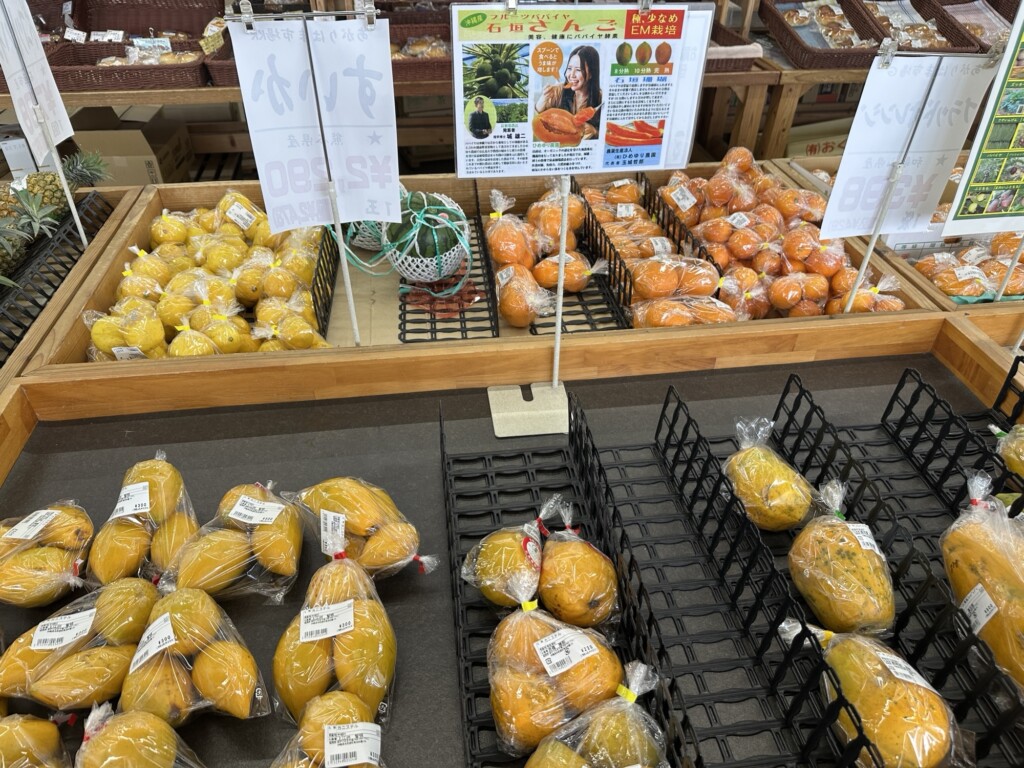 石垣さんごパパイヤとカニステル