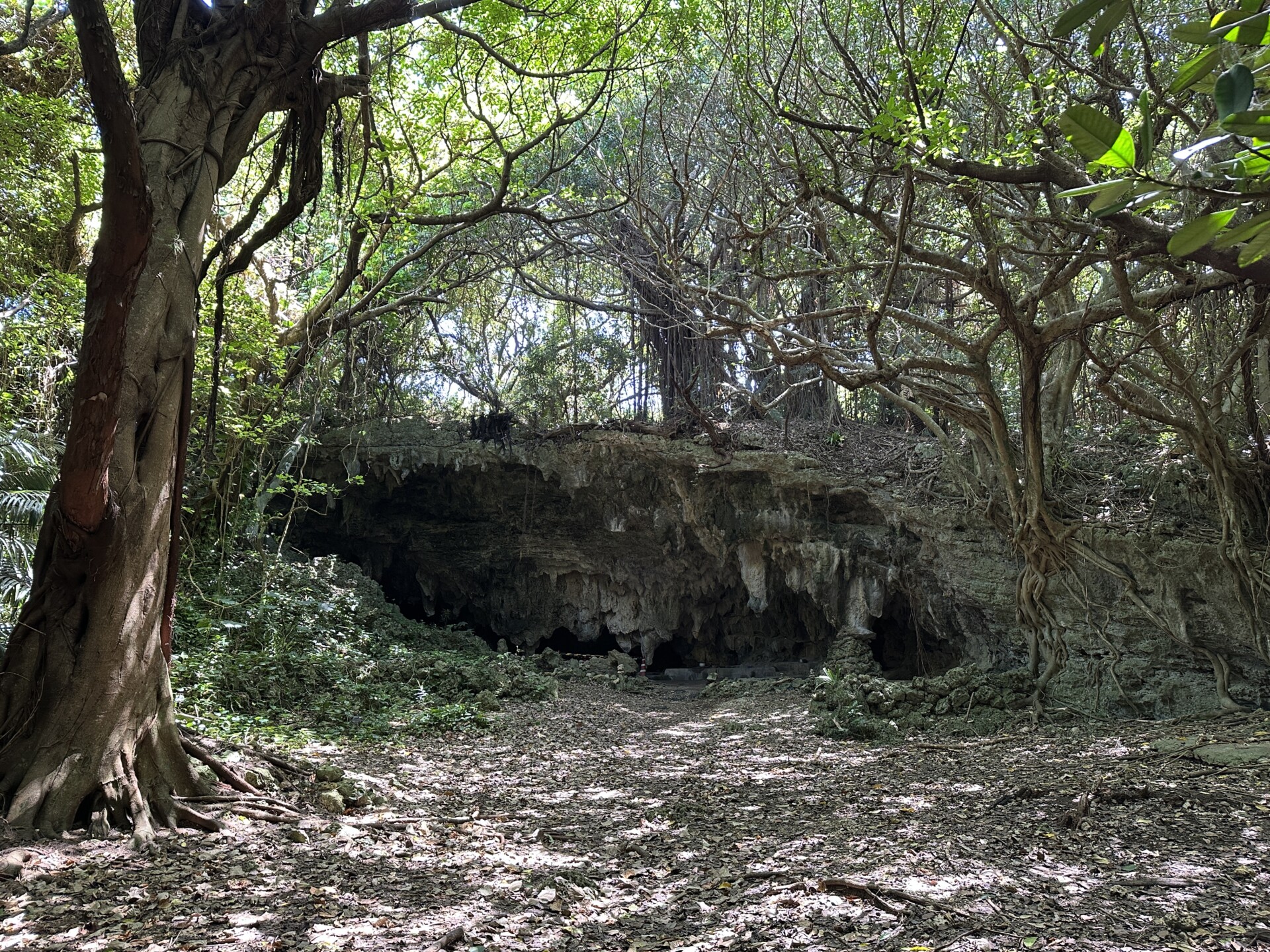 薮地洞窟遺跡の入り口