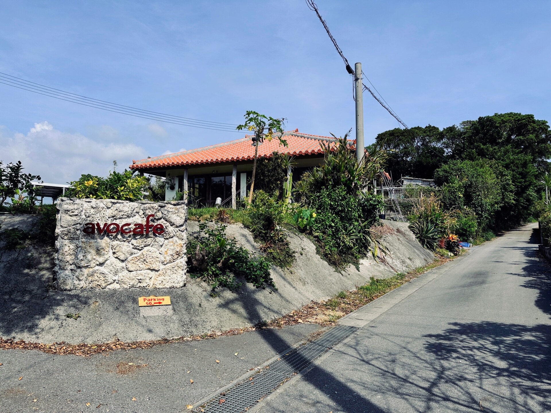 琉球石灰岩の壁に掲げられたavocafeの看板